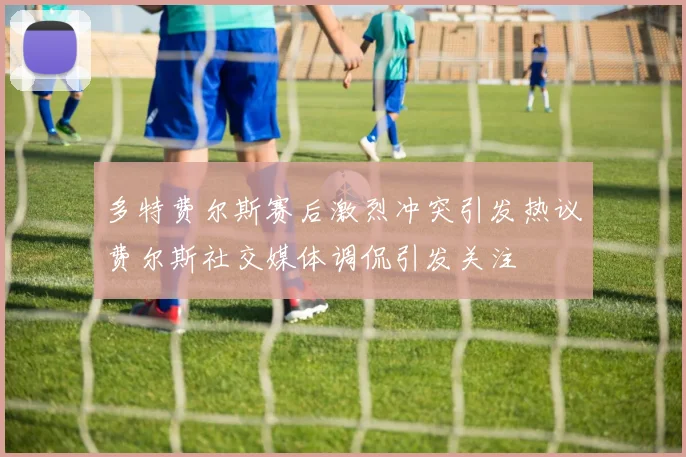 多特费尔斯赛后激烈冲突引发热议费尔斯社交媒体调侃引发关注