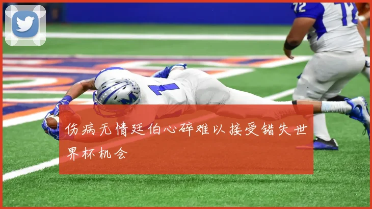 伤病无情廷伯心碎难以接受错失世界杯机会