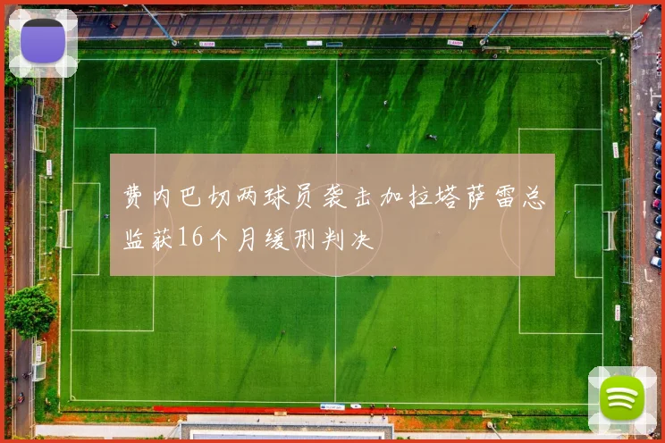 费内巴切两球员袭击加拉塔萨雷总监获16个月缓刑判决
