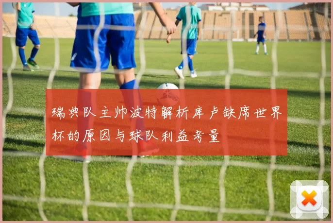 瑞典队主帅波特解析库卢缺席世界杯的原因与球队利益考量